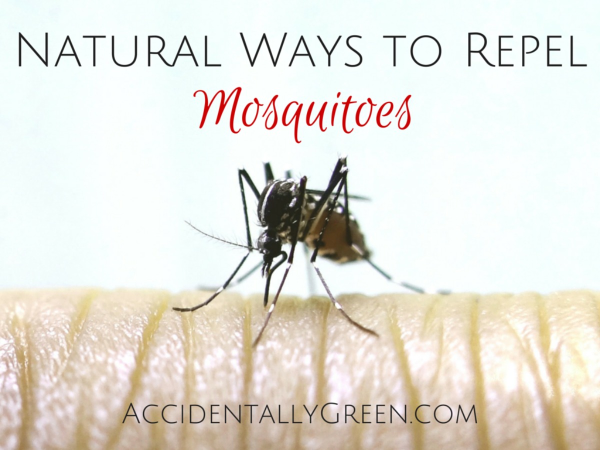 What are some home remedies to keep mosquitoes away?