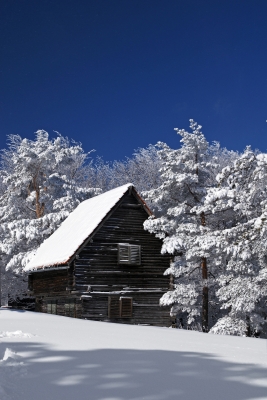8 Ways to Save Money and Energy This Winter/Accidentally Green